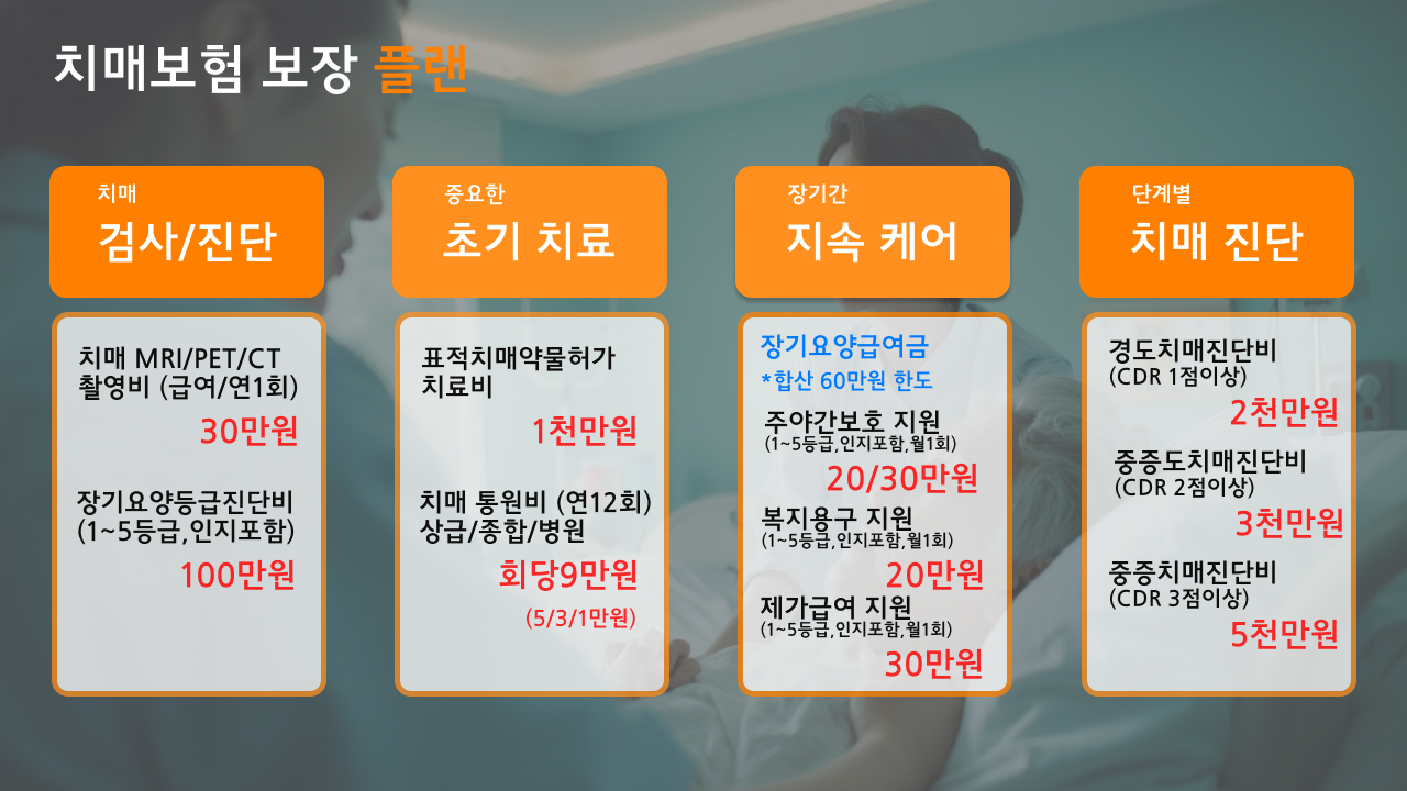 상세설명